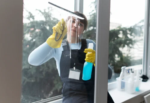 Nettoyage de vitres intérieures et extérieures à Saint-Jean-de-Niost